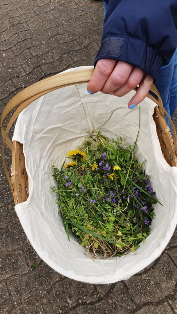 Korb voller Wildpflanzen