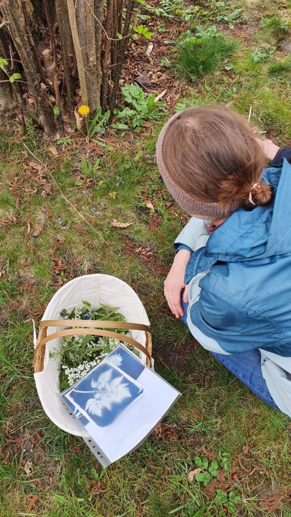 was wächst denn da?